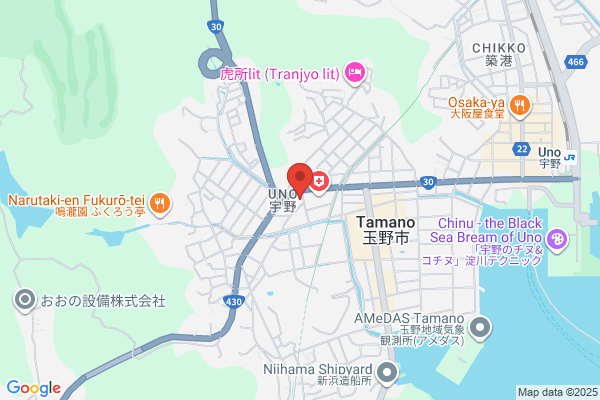 Inoue Pharmacy Co., Ltd.