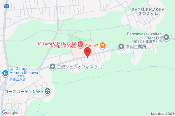 Misawa Fukae Pharmacy