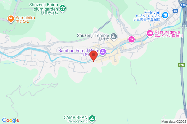 Shuzenji Forest