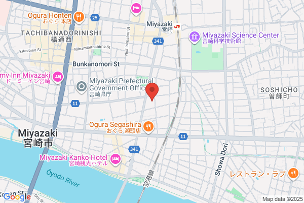 Business Miyazaki Royal Hotel