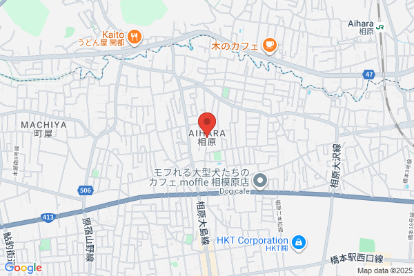 ノジマ NEW城山店