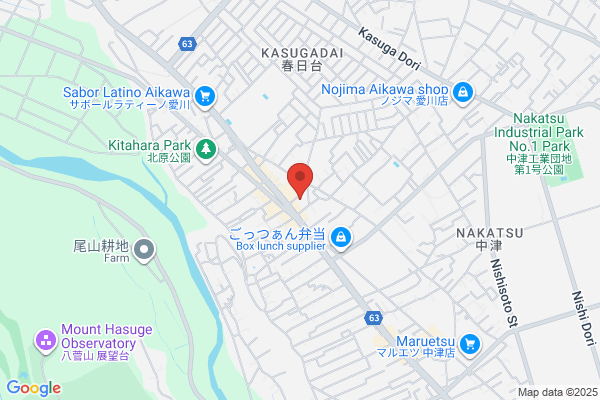 Akigin Staff Service Co Ltd
