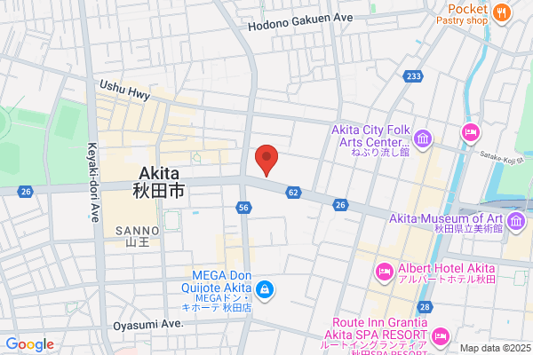 Hotel Alpha Inn Akita