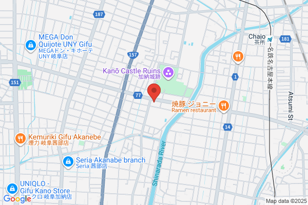 ドミノ・ピザ岐阜加納城南通店
