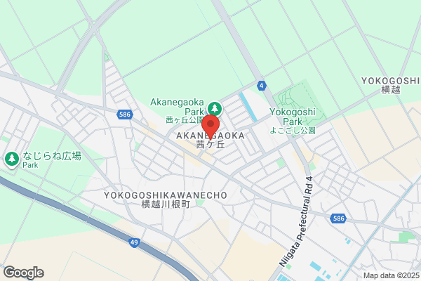 ウエルシア新潟荻川店