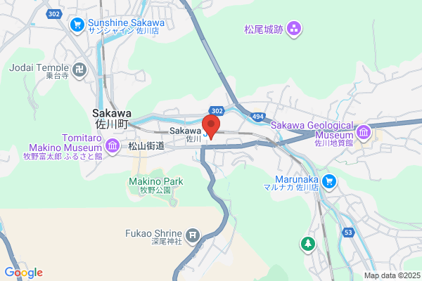Business Hotel Karie
