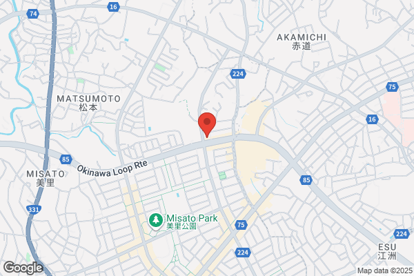 ドミノ・ピザ登川店