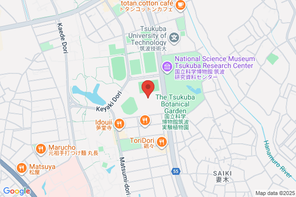 紫流 書道会
