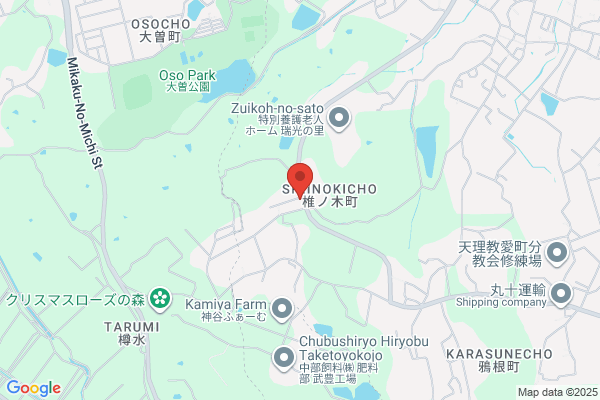 Japan Datsun Service Chubu