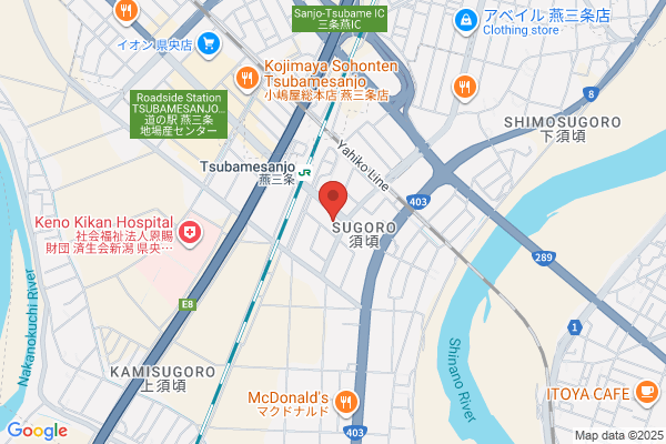 Hotel New Green Tsubame Sanjo