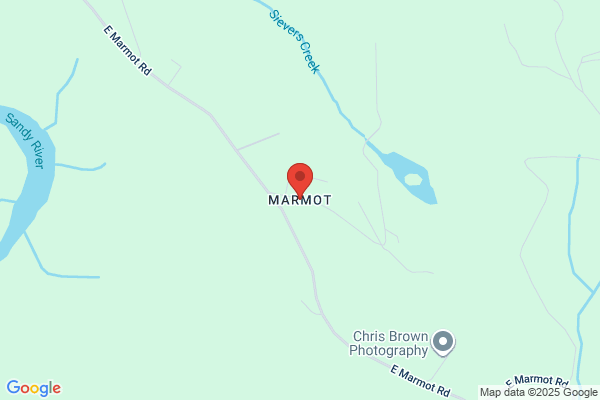 Marmot - 閉店