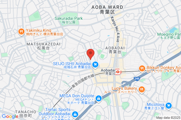 TAYA & CO. GINZA あざみ野三規庭店
