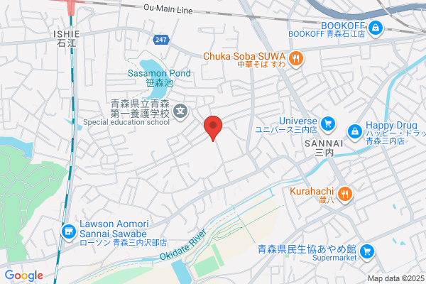 Hotel New Aomorikan