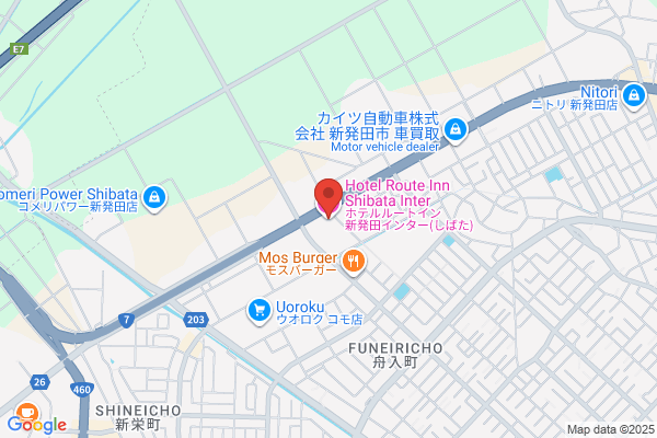 Hotel Shibata