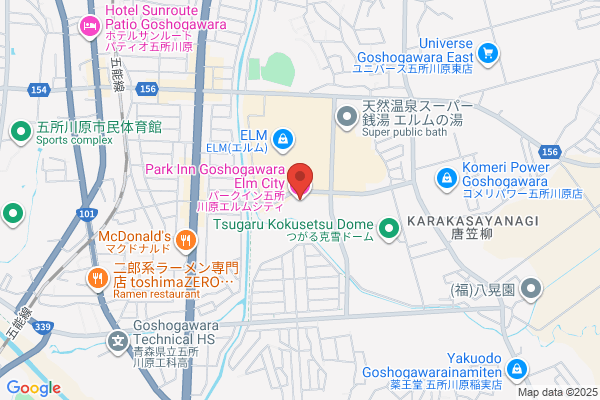 Park Inn Goshogawara Elm City