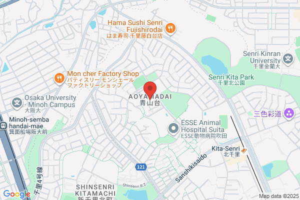 スターリーダー合同会社