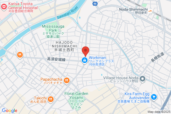 Ameyoko Camera, Kariya Shop