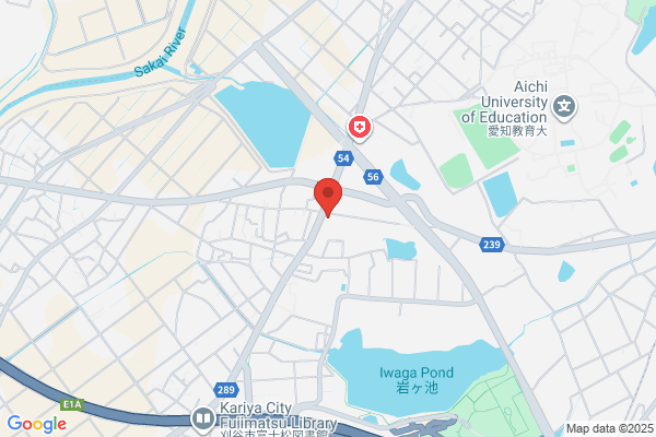 Speedy Auto