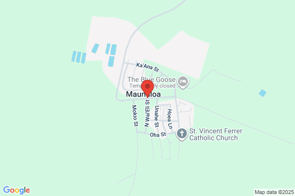 Maunaloa 則武新町店