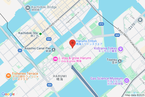 Toyo Warehouse Co., Ltd., Air Cargo Center