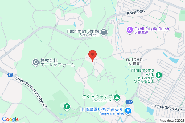 Gardenウィズテリア