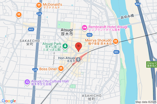 Atsugi Capsule Hotel Shinkan