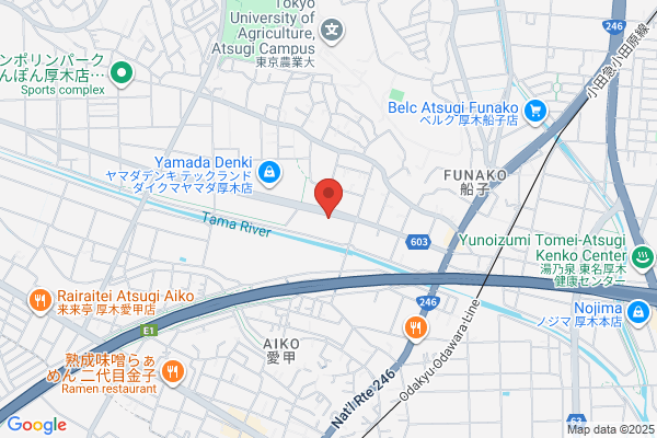 Japan Logistic System Corp. Tomei Atsugi Br.