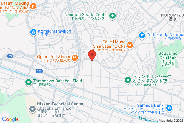 Kyowa Seisakusho Co., Ltd.