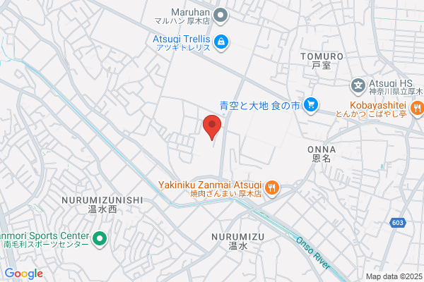 Nippon Miractran Co., Ltd.