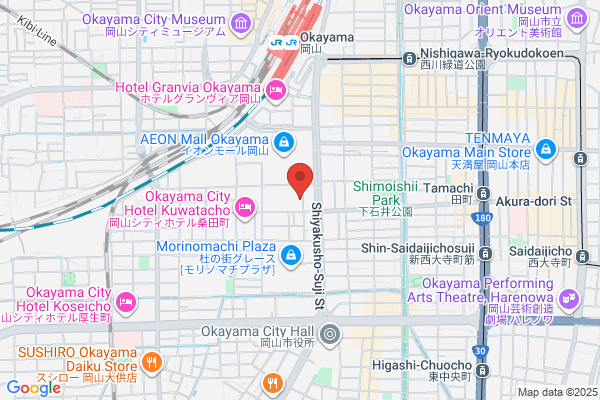 Ark Hotel Okayama