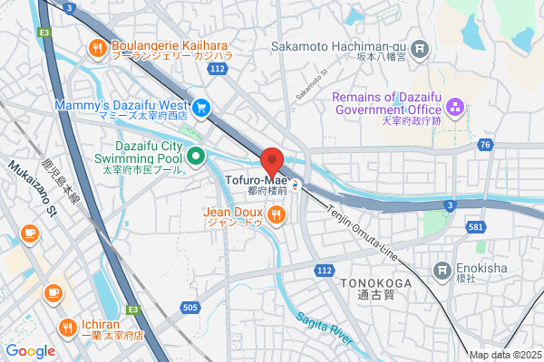 Tenichi Therapy