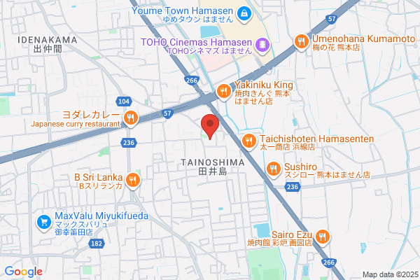 リカバリーオクナ