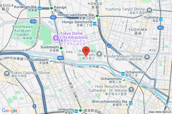 Nihon Light Service Inc.