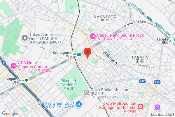 Plasur Japan Co., Ltd.