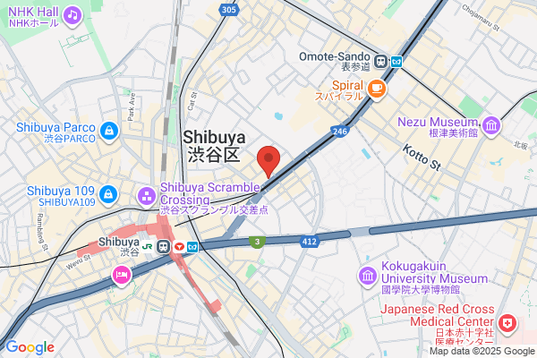 Higuchi Drug Store Shibuya