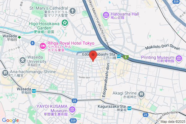 Igaku-Shoin Ltd. Int'l. Publishing Dept.