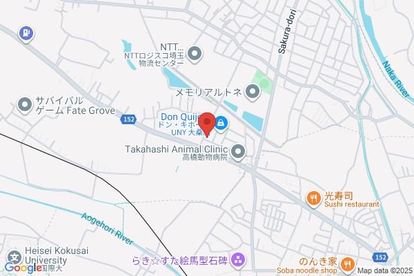 Mayumi Ballet School