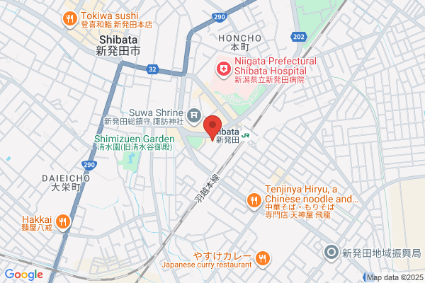 Shibata New Hotel Plaza