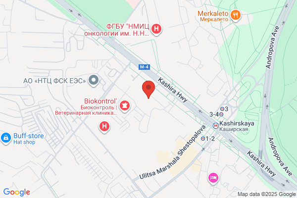 入舟