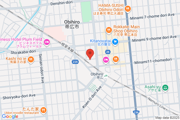 Obihiro Tokyu Inn
