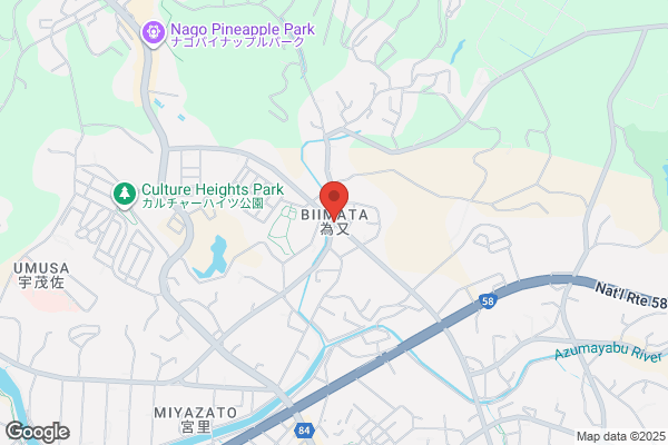 ゲオ名護びいまた店