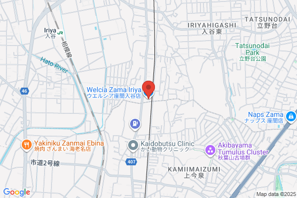 ウエルシア座間入谷店