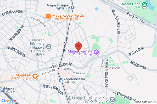 Takamineso