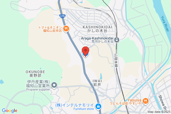 Aoi Denki
