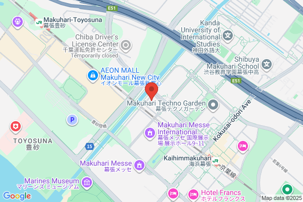 Chibagin Computer Service Co Ltd