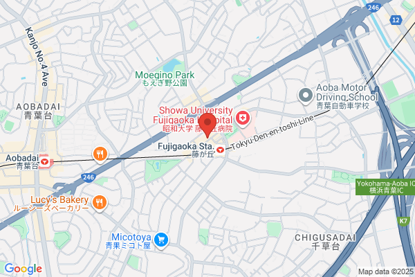 Fujigaoka Dance Academy