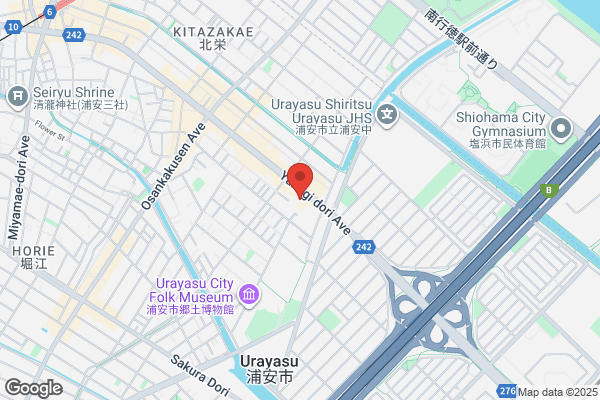 Joshin Urayasu Shop