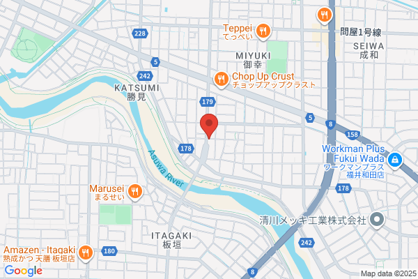 Fukui Denki Shokai