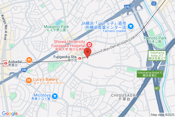 Gokuraku Fujigaoka Denki Co., Ltd.