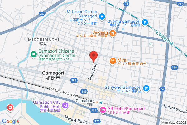 Kowa Denki